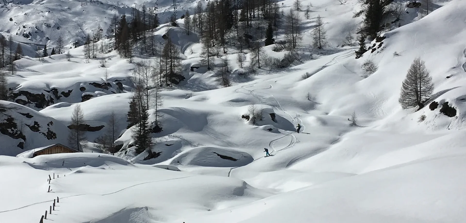  Freeride  Community: